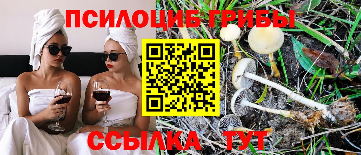 Галлюциногенные грибы Psilocybine cubensis  Вход с VPN  Галлюциногенные грибы ЛСД  Симферополь 